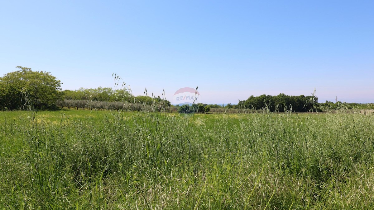 Land For sale - ISTARSKA TAR-VABRIGA