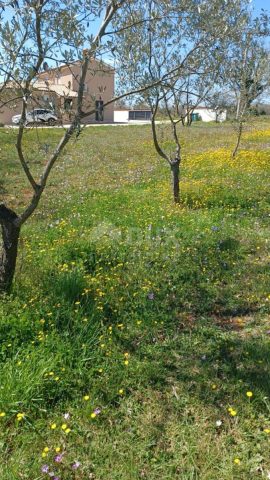Terreno in vendita 1970 m² – Divšići