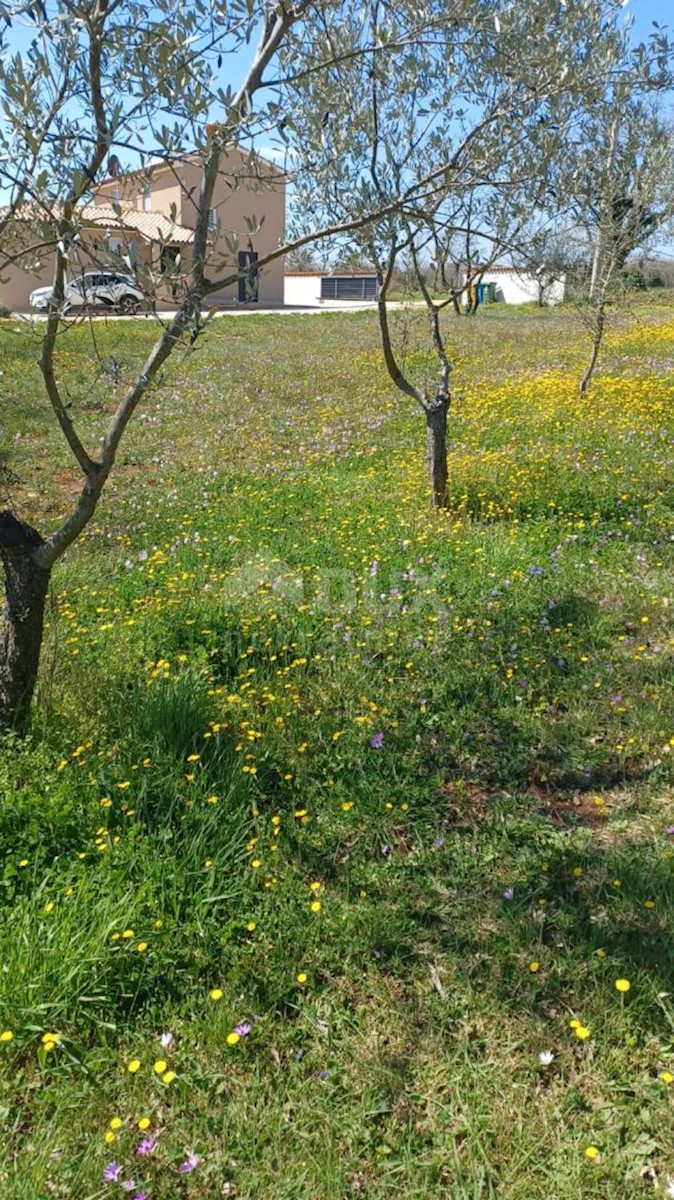 Pozemok Na predaj - ISTARSKA MARČANA