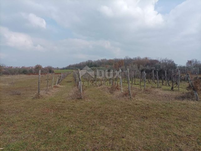 Parcela Naprodaj - Istarska Buje - foto 2/5