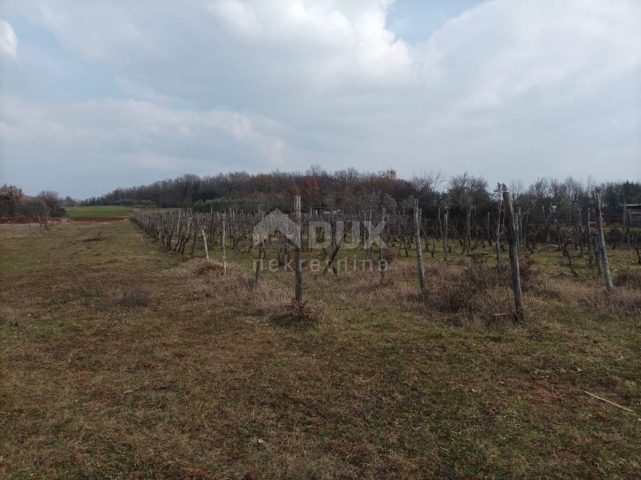Parcela Naprodaj - Istarska Buje - foto 3/5