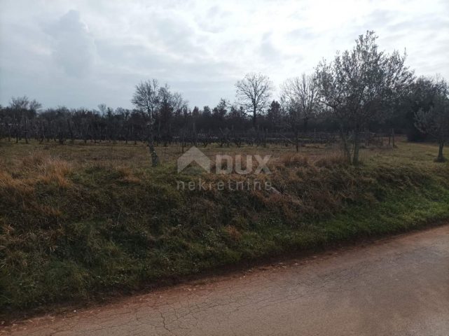 Parcela Naprodaj - Istarska Buje - foto 5/5