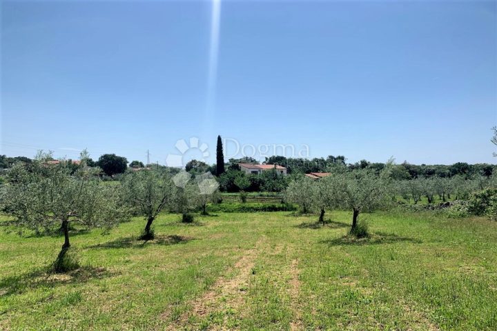 Land for sale 5046 m² – Rovinj