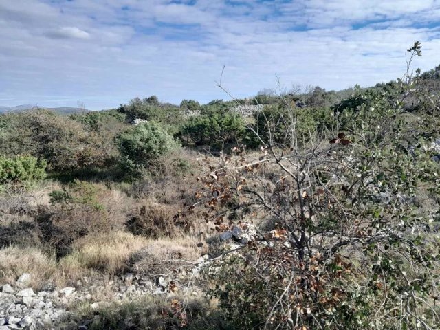 Parcela na predaj 1764 m² – Rogoznica