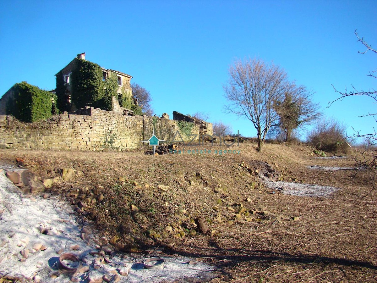 Land For sale - ISTARSKA GROŽNJAN