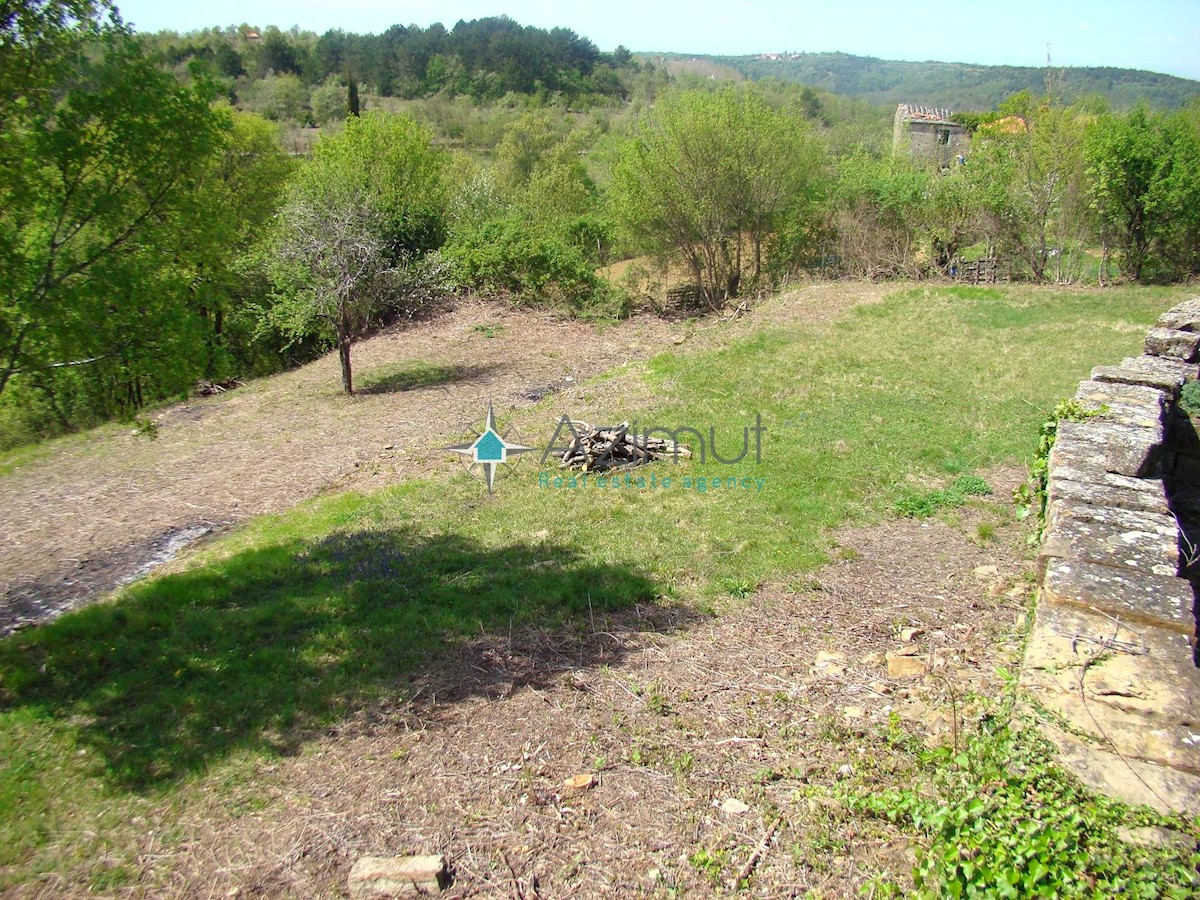 Land For sale - ISTARSKA GROŽNJAN