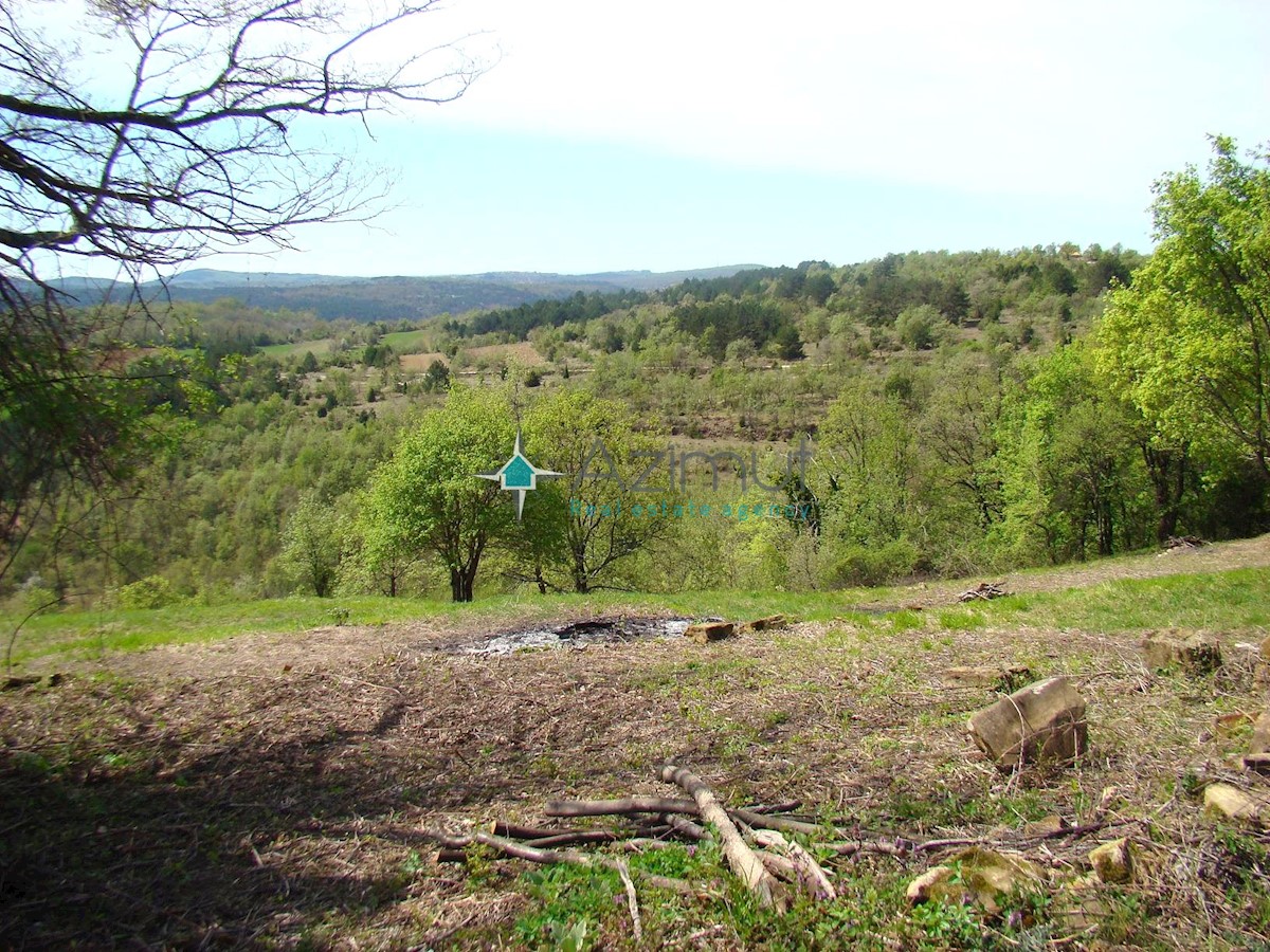 Land For sale - ISTARSKA GROŽNJAN