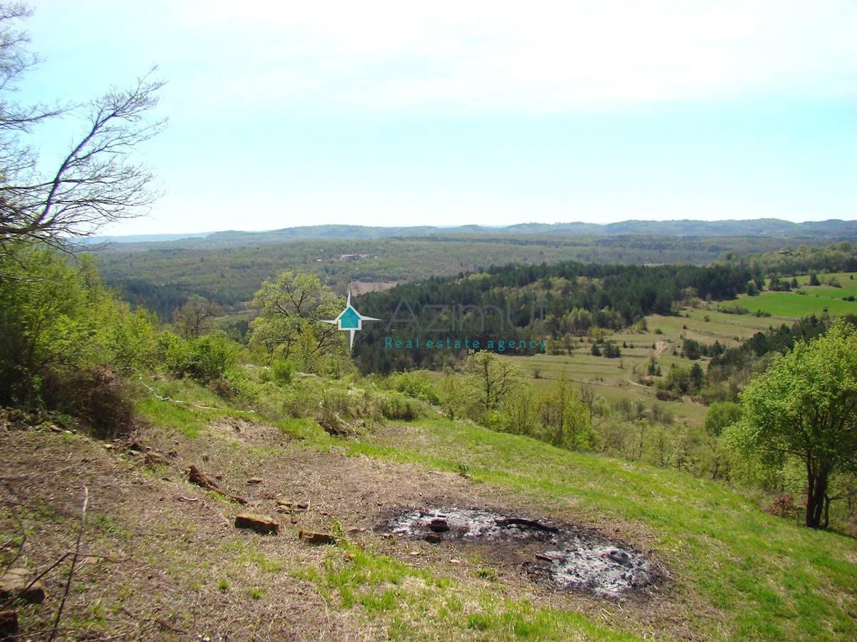 Land For sale - ISTARSKA GROŽNJAN