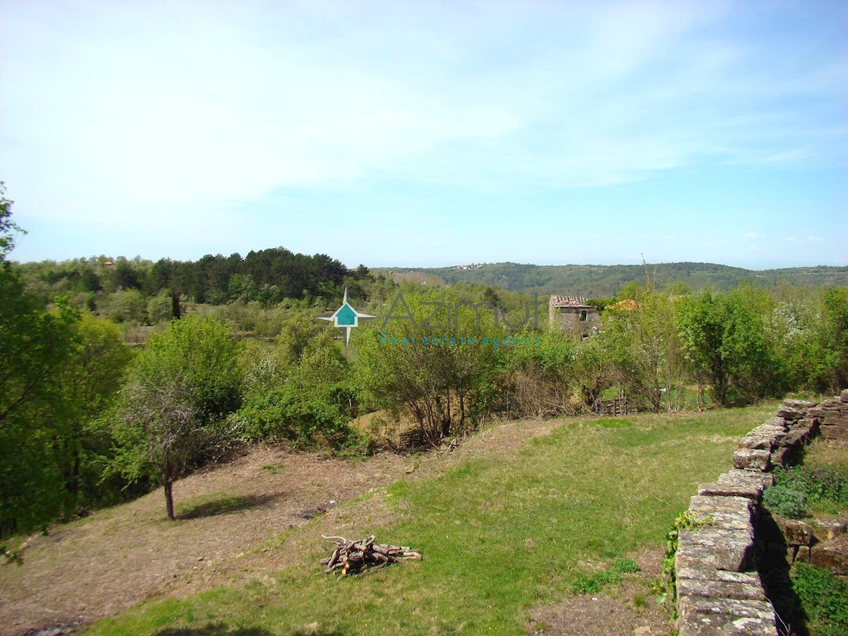 Land For sale - ISTARSKA GROŽNJAN