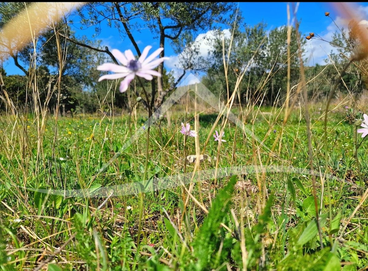 Zemljište Na prodaju - ŠIBENSKO-KNINSKA PIROVAC