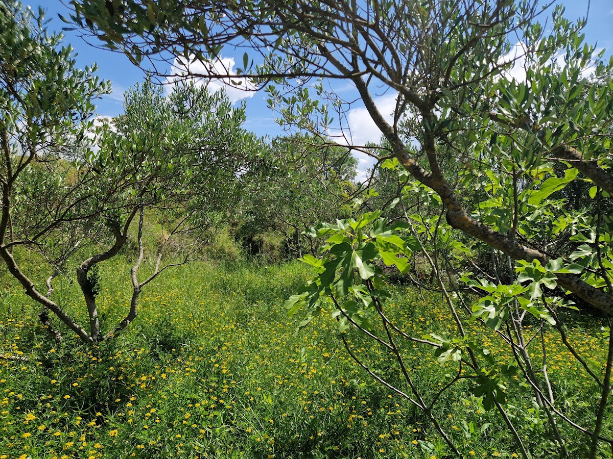 Land For sale - ŠIBENSKO-KNINSKA ŠIBENIK