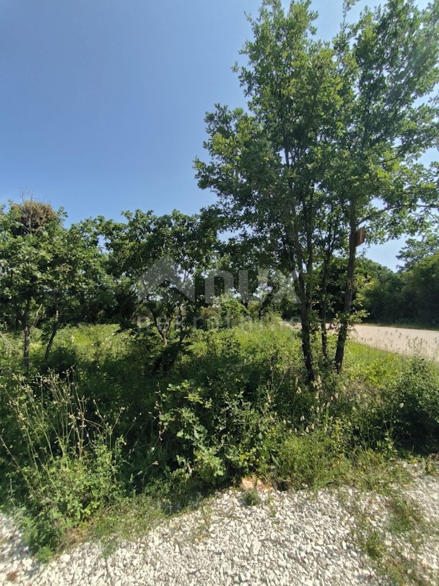 Land For sale - ISTARSKA VODNJAN