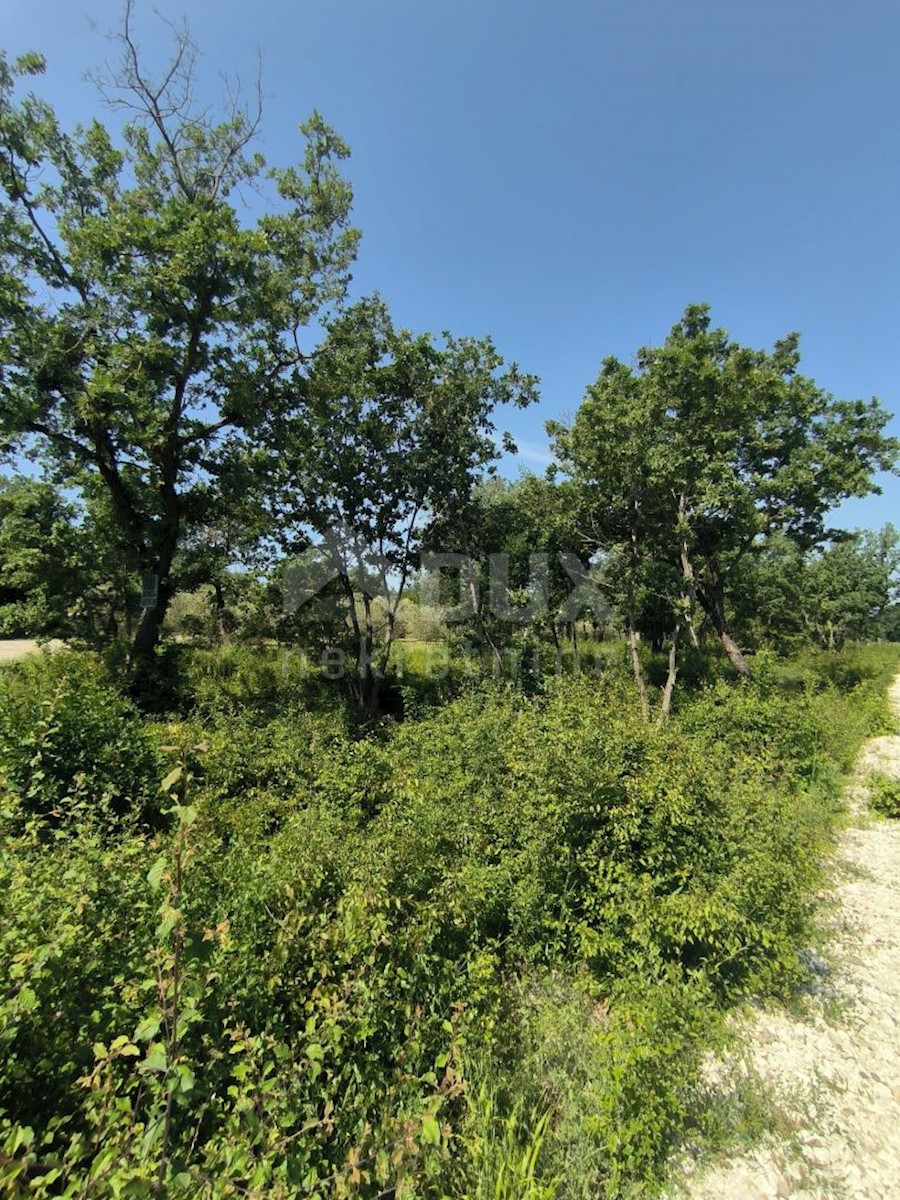 Terrain À vendre - Istarska Vodnjan - foto 1/3