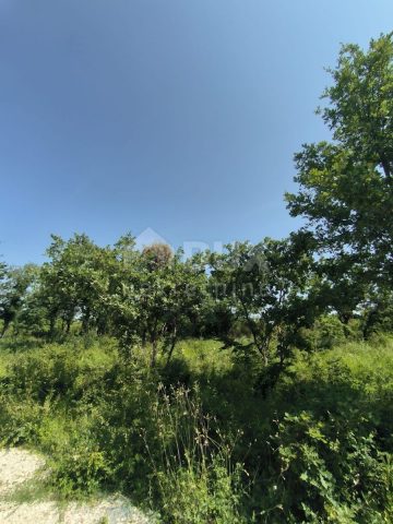 Grundstück Zu verkaufen - Istarska Vodnjan - foto 3/4