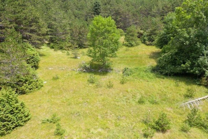 Pozemok na predaj 3160 m² – Sveti Juraj