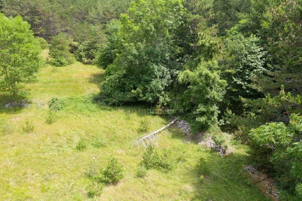 Land For sale - LIČKO-SENJSKA SENJ