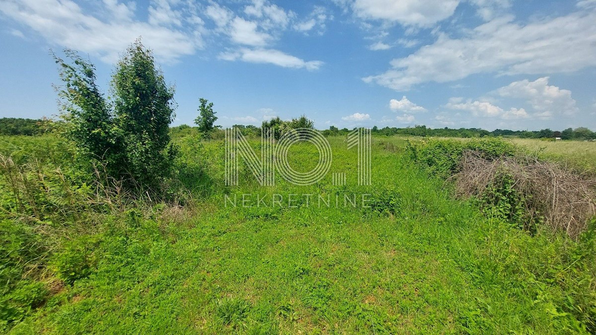 Land For sale - ISTARSKA UMAG
