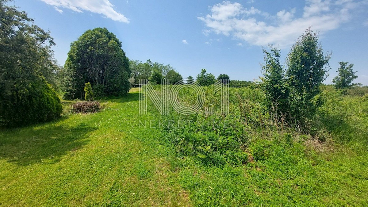 Land For sale - ISTARSKA UMAG