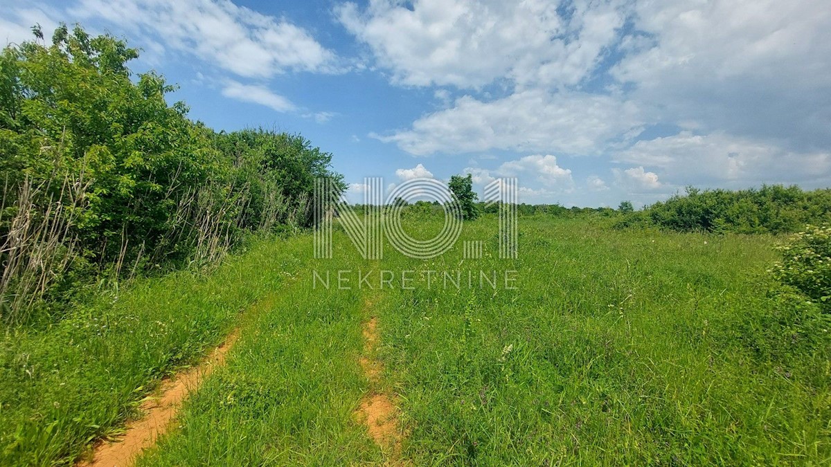Land For sale - ISTARSKA UMAG