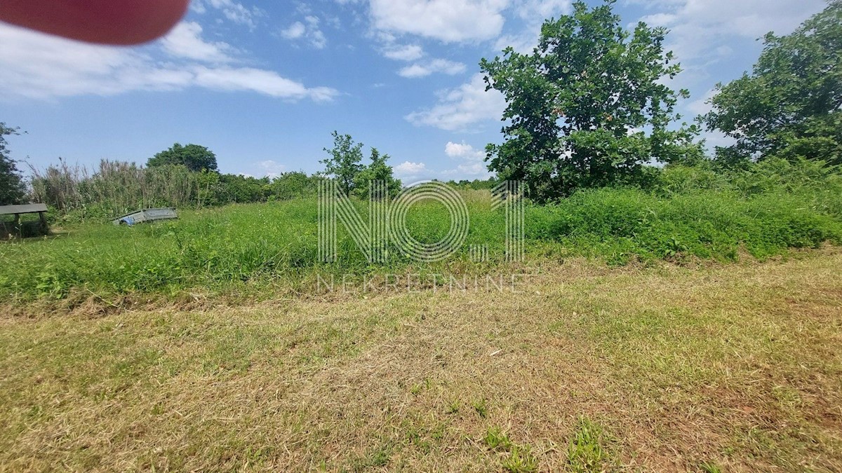Land For sale - ISTARSKA UMAG