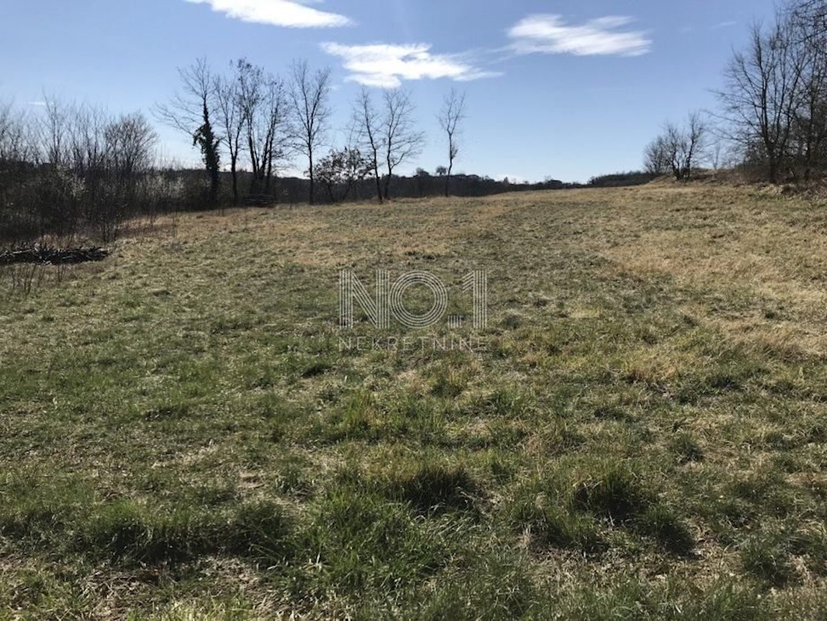 Land For sale - ISTARSKA PAZIN