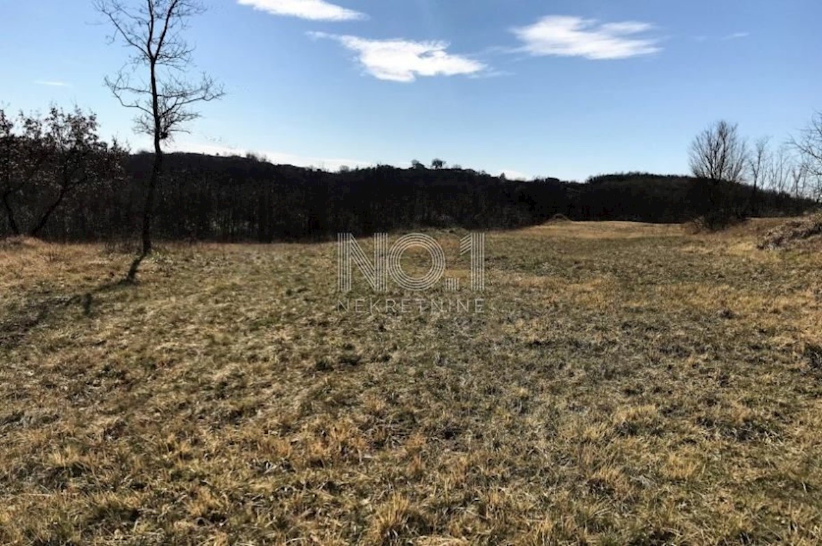 Land For sale - ISTARSKA PAZIN