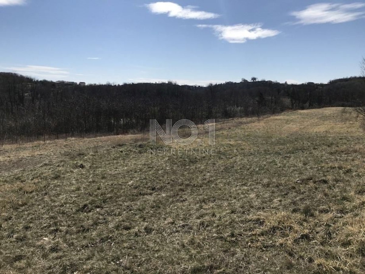 Land For sale - ISTARSKA PAZIN