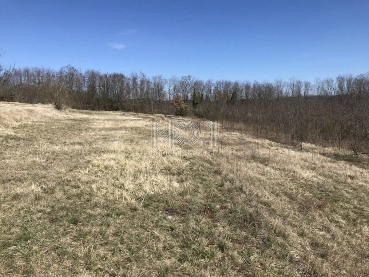 Terreno In vendita - ISTARSKA PAZIN