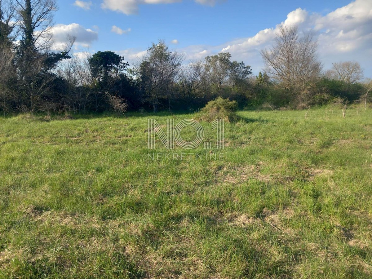 Land For sale - ISTARSKA SVETVINČENAT