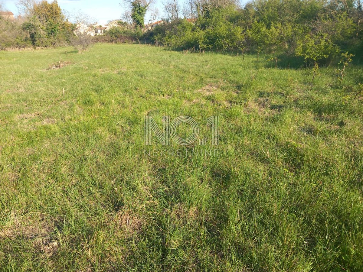 Land For sale - ISTARSKA SVETVINČENAT