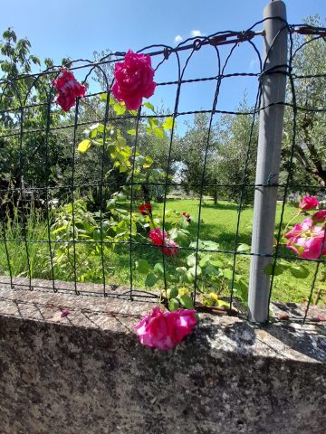 Kuća Na prodaju - Istarska Pula - foto 3/16