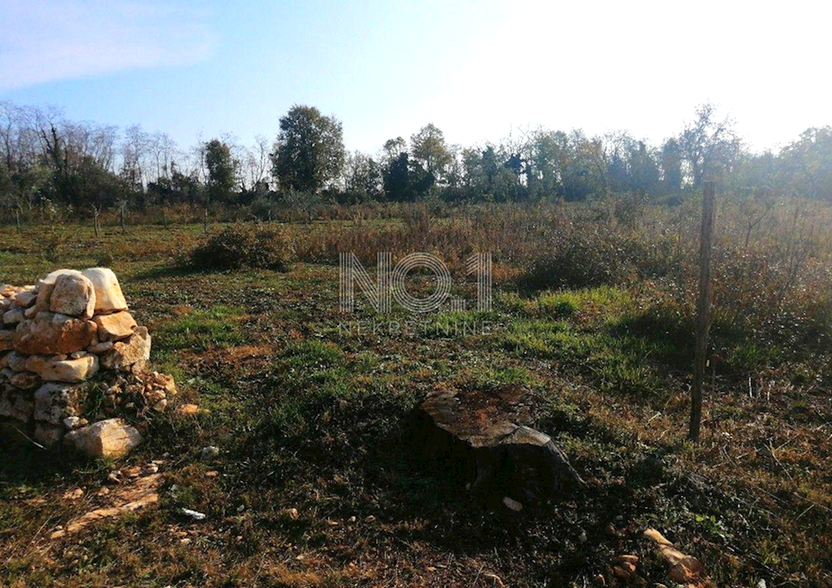 Land For sale - ISTARSKA KAŠTELIR