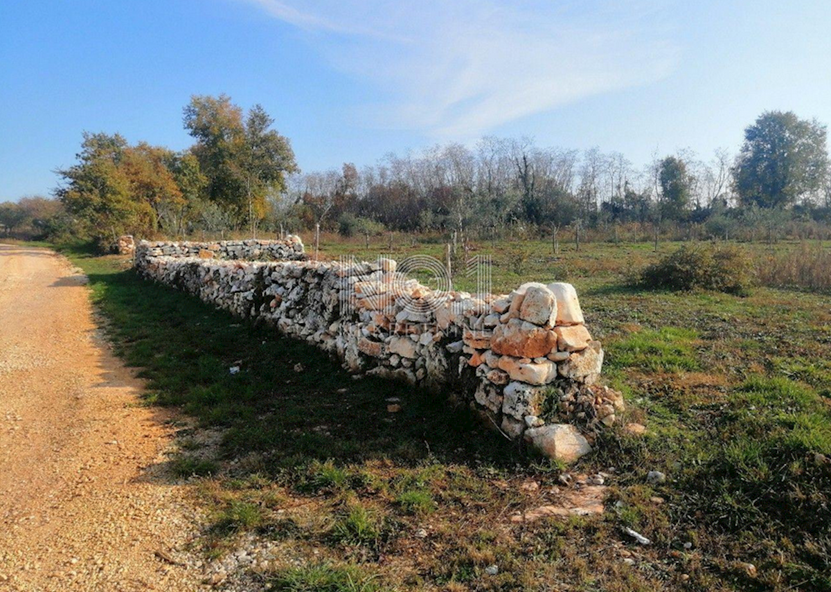 Zemljište Na prodaju - ISTARSKA KAŠTELIR