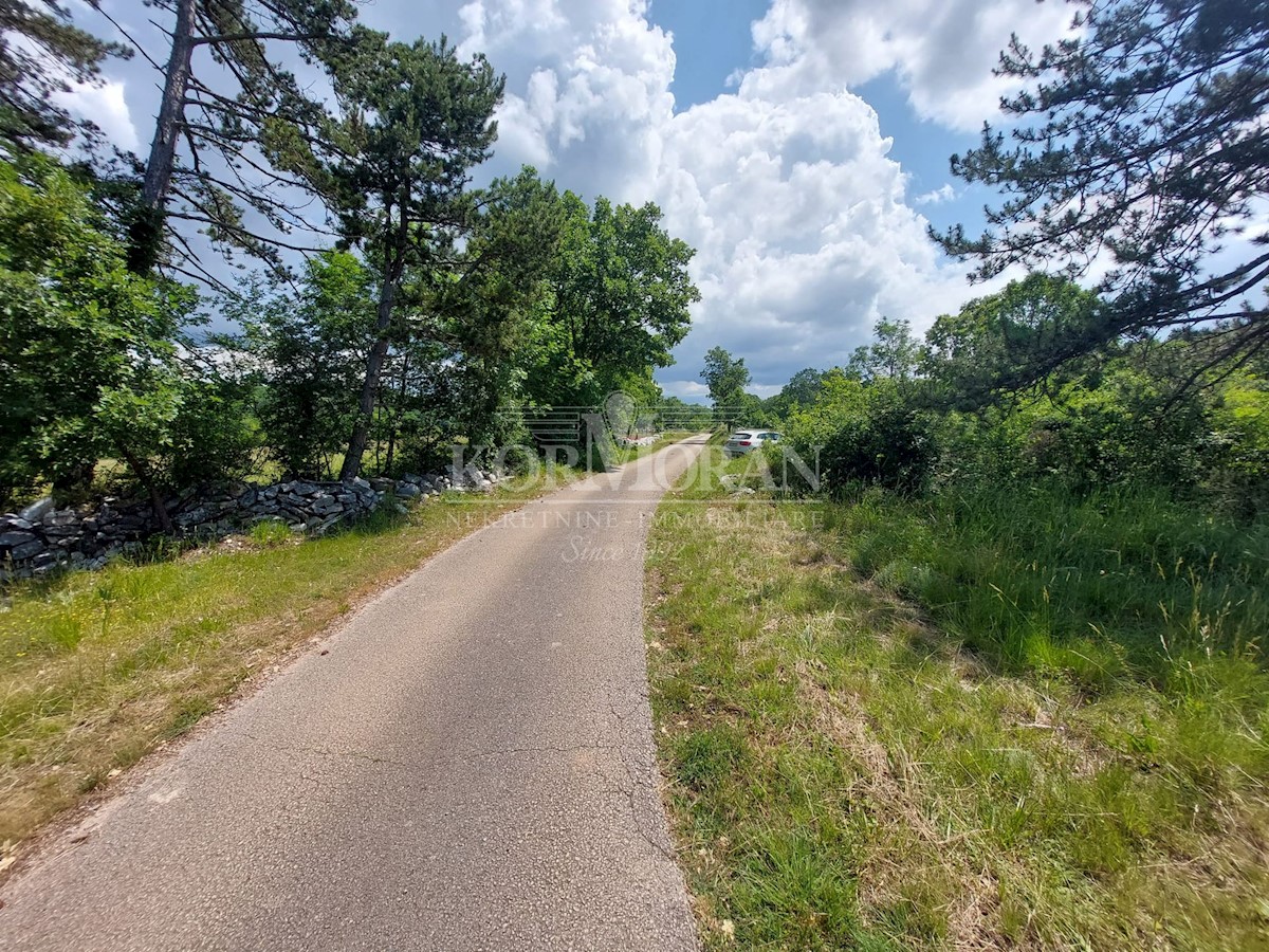 Terreno In vendita - ISTARSKA GROŽNJAN