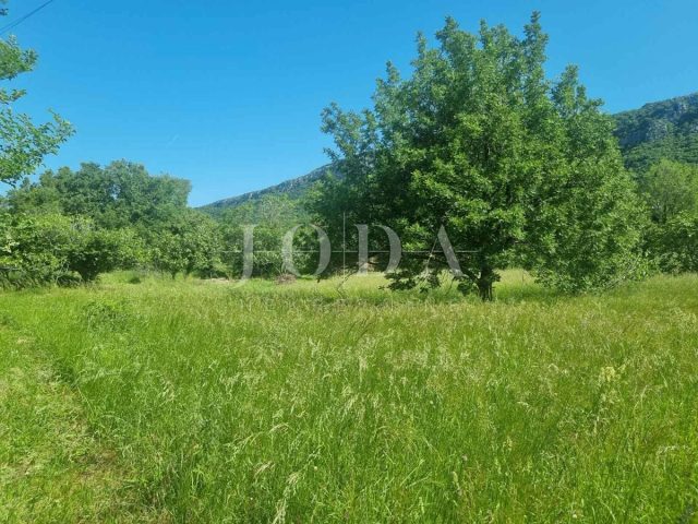 Grundstück zu verkaufen 3134 m² – Bribir