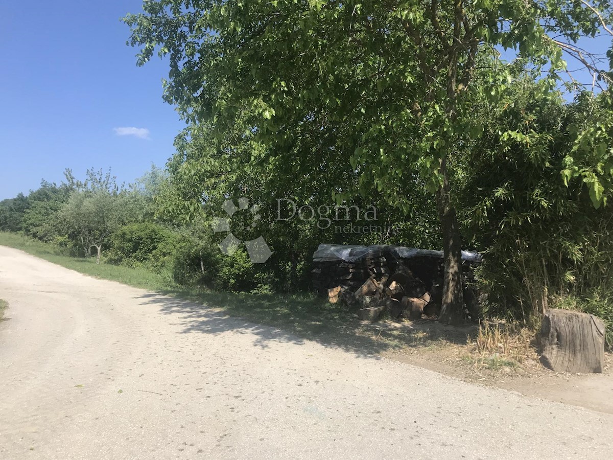 Kuća Na prodaju - ISTARSKA BUZET