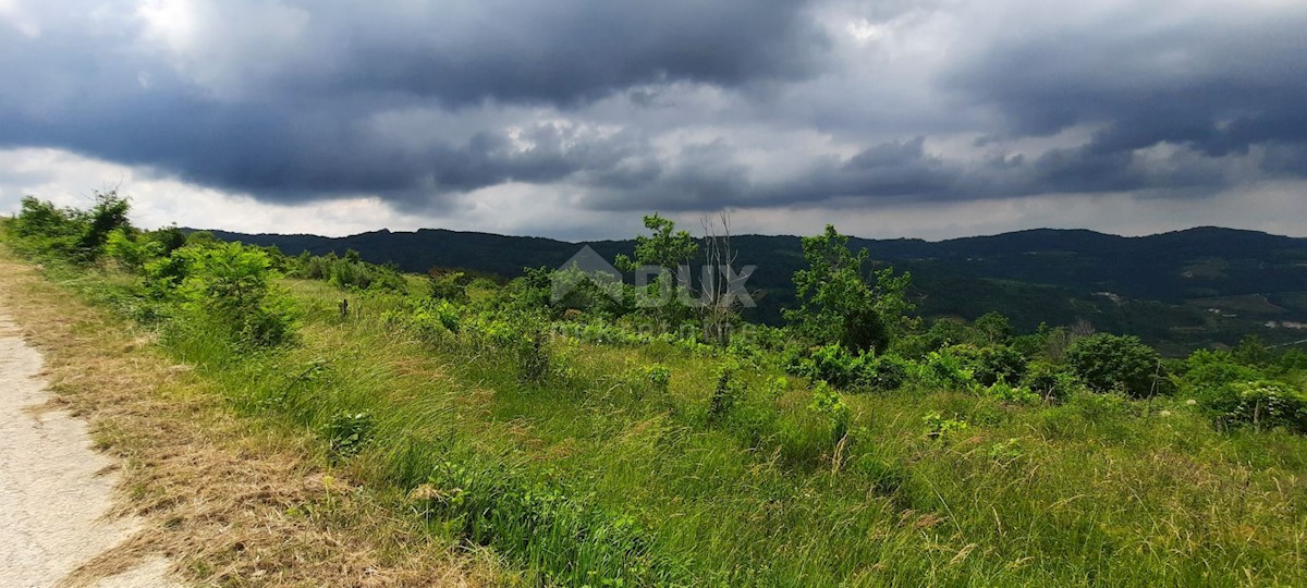 Pozemok Na predaj - ISTARSKA MOTOVUN