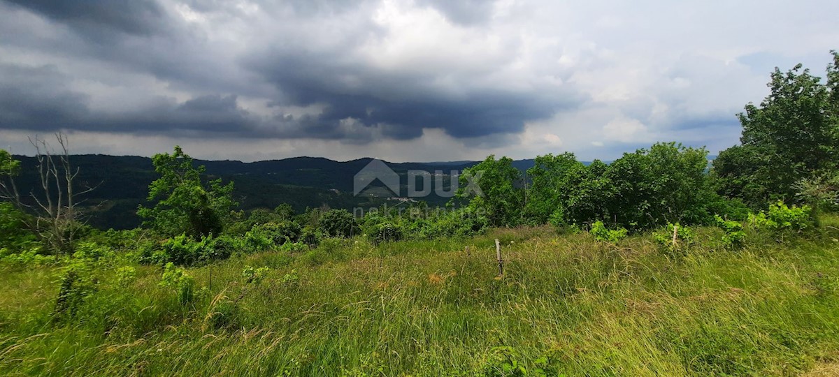 Pozemok Na predaj - ISTARSKA MOTOVUN