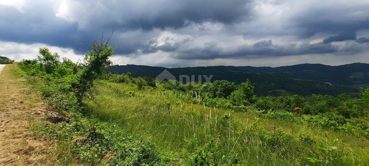 Pozemok Na predaj - ISTARSKA MOTOVUN