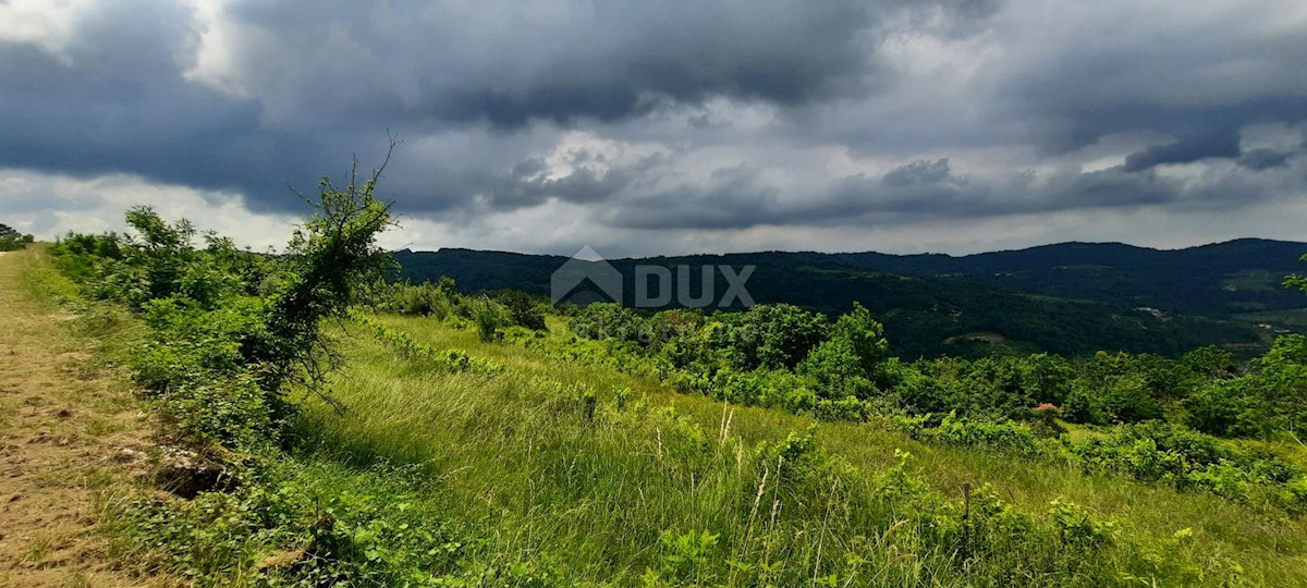 Pozemok Na predaj - ISTARSKA MOTOVUN