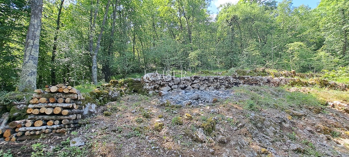 Działka Na sprzedaż - Primorsko-goranska Matulji - foto 1/2