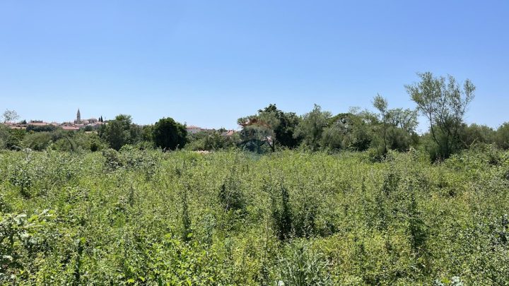 Zemljište na prodaju 2931 m² – Tar