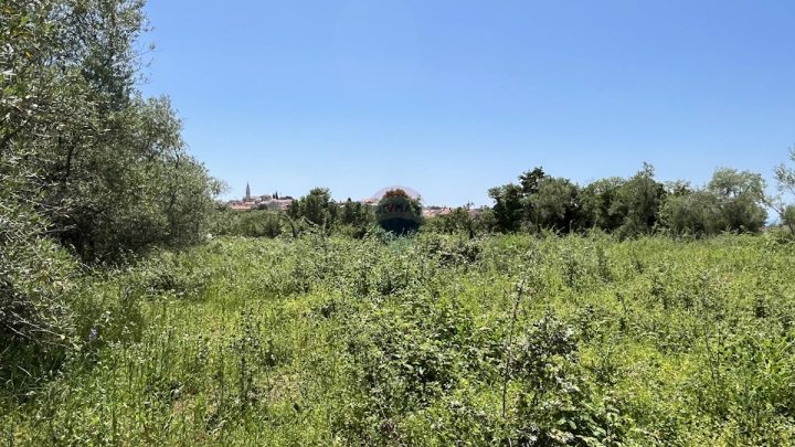 Grundstück Zu verkaufen - Istarska Tar-vabriga - foto 3/6