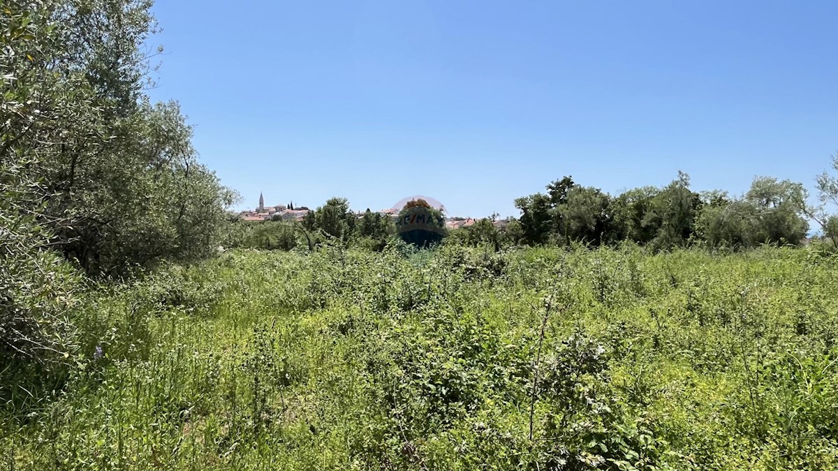 Land For sale - ISTARSKA TAR-VABRIGA