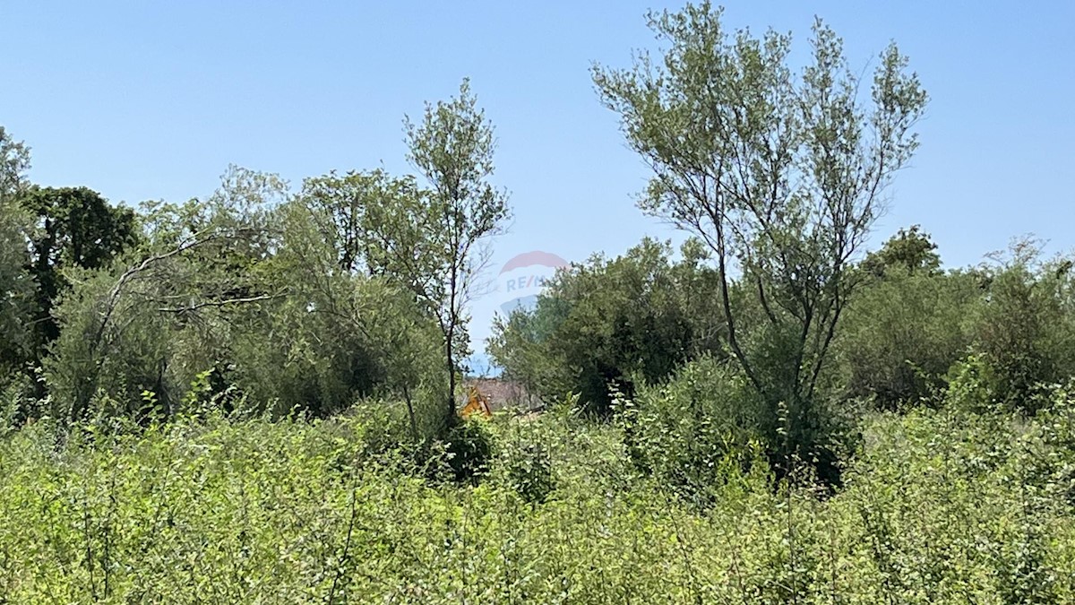 Land For sale - ISTARSKA TAR-VABRIGA