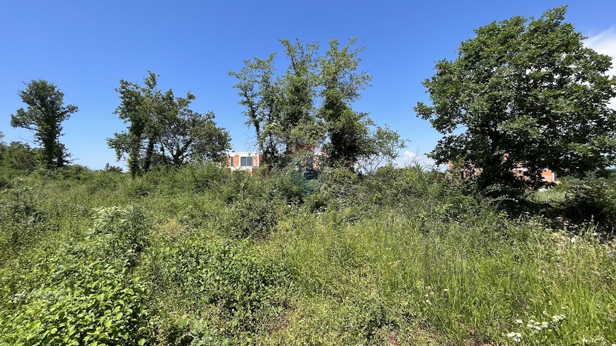 Land For sale - ISTARSKA TAR-VABRIGA