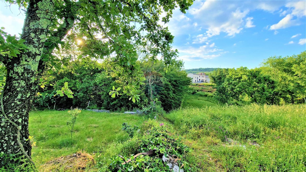 Land For sale - ISTARSKA BUZET