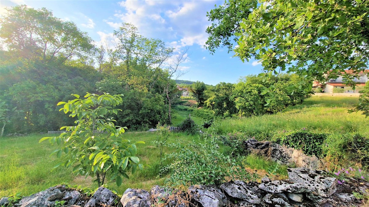 Land For sale - ISTARSKA BUZET