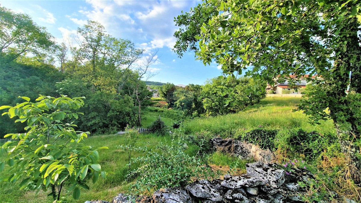 Land For sale - ISTARSKA BUZET