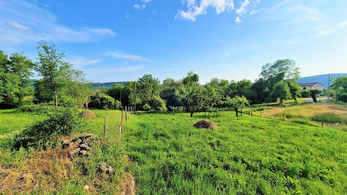 Land For sale - ISTARSKA BUZET